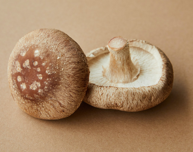 mushroom-chocolate-2